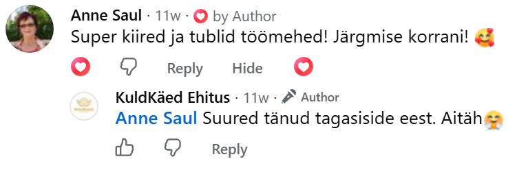 Anne Sauli arvustus Facebookis