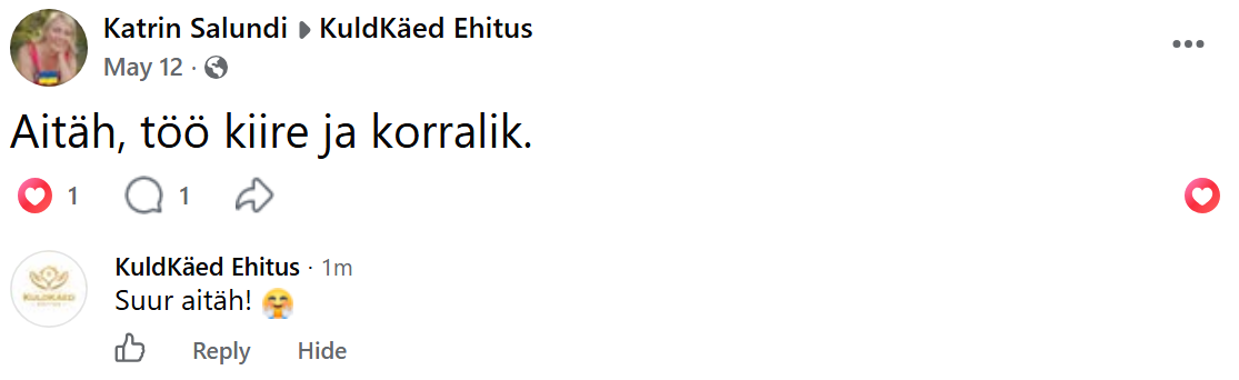 Katrin Salundi arvustus Facebookis